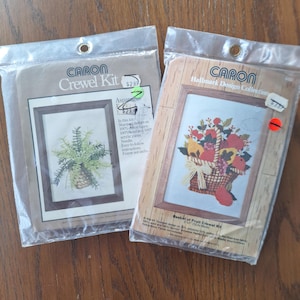 Caron Crewel embroidery kits, choice, Basket of Fruit, Asparagus Fern