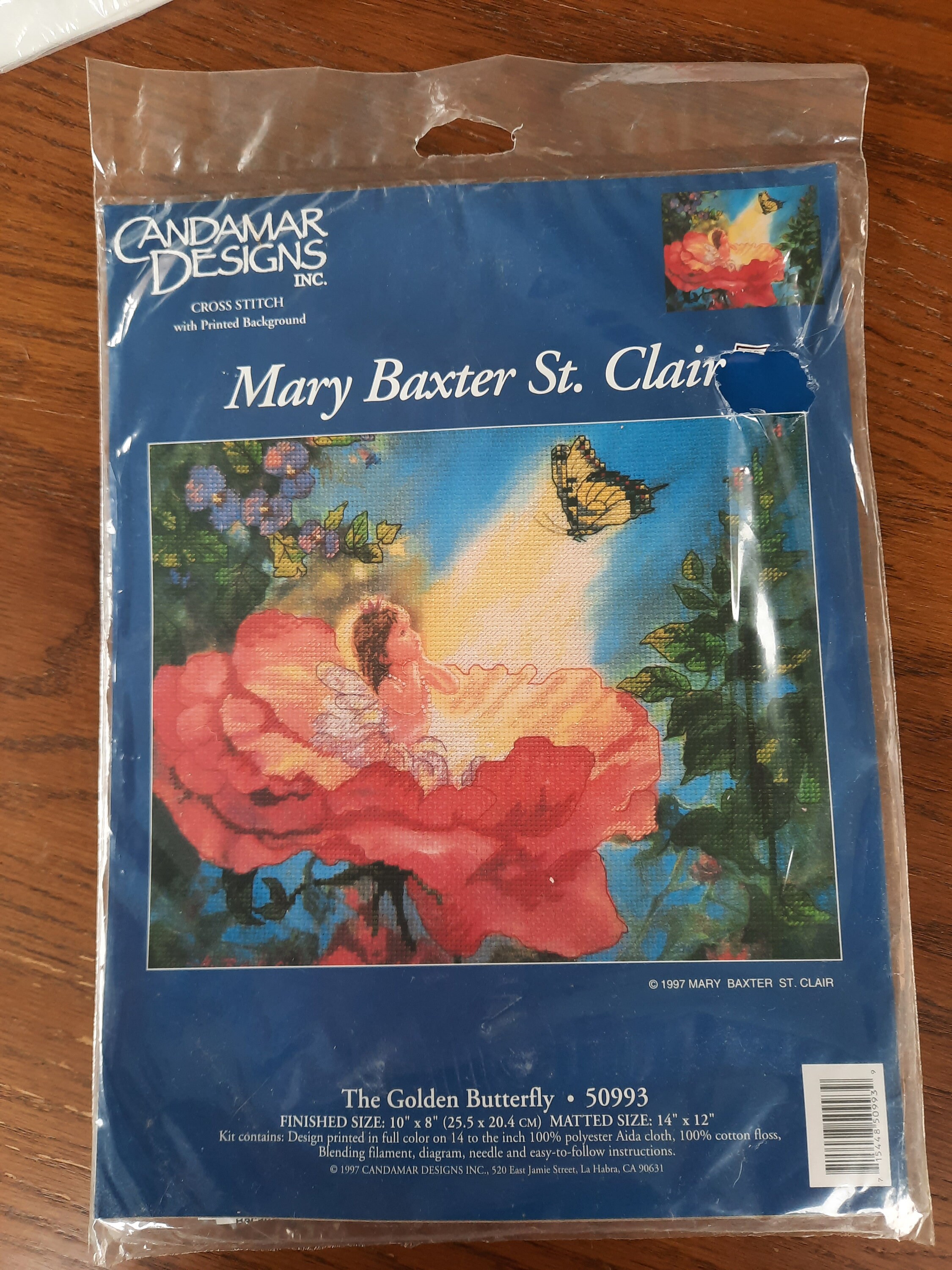 サンタクローチェの裏庭 サンタ・クローチェ教会大礼拝堂壁画修復プロジェクト｜国際共同