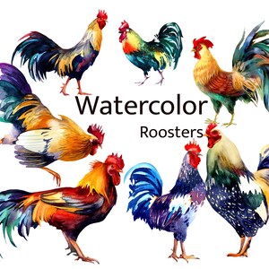 Gallos acuarela clipart granja pájaro animal clip art imprimible descarga instantánea pintura de acuarela