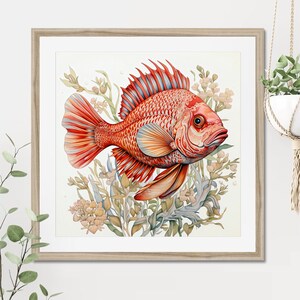 赤い魚の絵画プリント、魚のキッチン装飾、赤いシクリッドの魚アートプリント、魚の壁アート、家の装飾ギフト