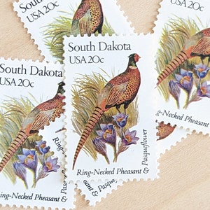 Conjunto de 5 selos do estado de Dakota do Sul, selos postais antigos, sem uso, USPS de 20 centavos, série de pássaros e flores do estado, 1982, gomados