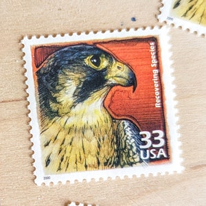 5 sellos de recuperación de animales en peligro de extinción, 33 centavos, 1998-2000, Celebrate The Century de los años 1990, sellos postales sin usar