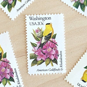 Conjunto de 5 sellos del estado de Washington, antiguos, sin usar, de USPS, de 20 centavos, serie "Aves y flores del estado", 1982, engomados.