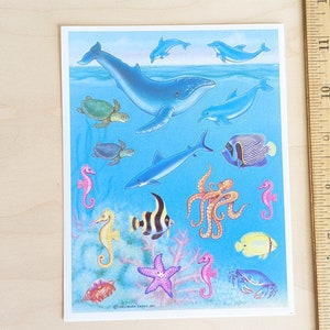 Ocean Life Sticker Sheet, 4.5x15 Inch Sticker Sheet, Hallmark Cards, Inc, 18 Stickers