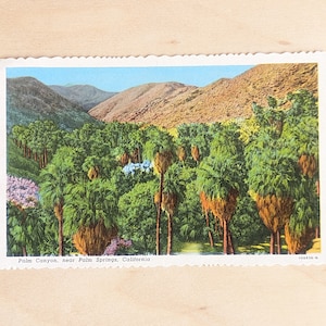 Unbenutzte Palm Canyon, nahe Palm Springs, Kalifornien Postkarte
