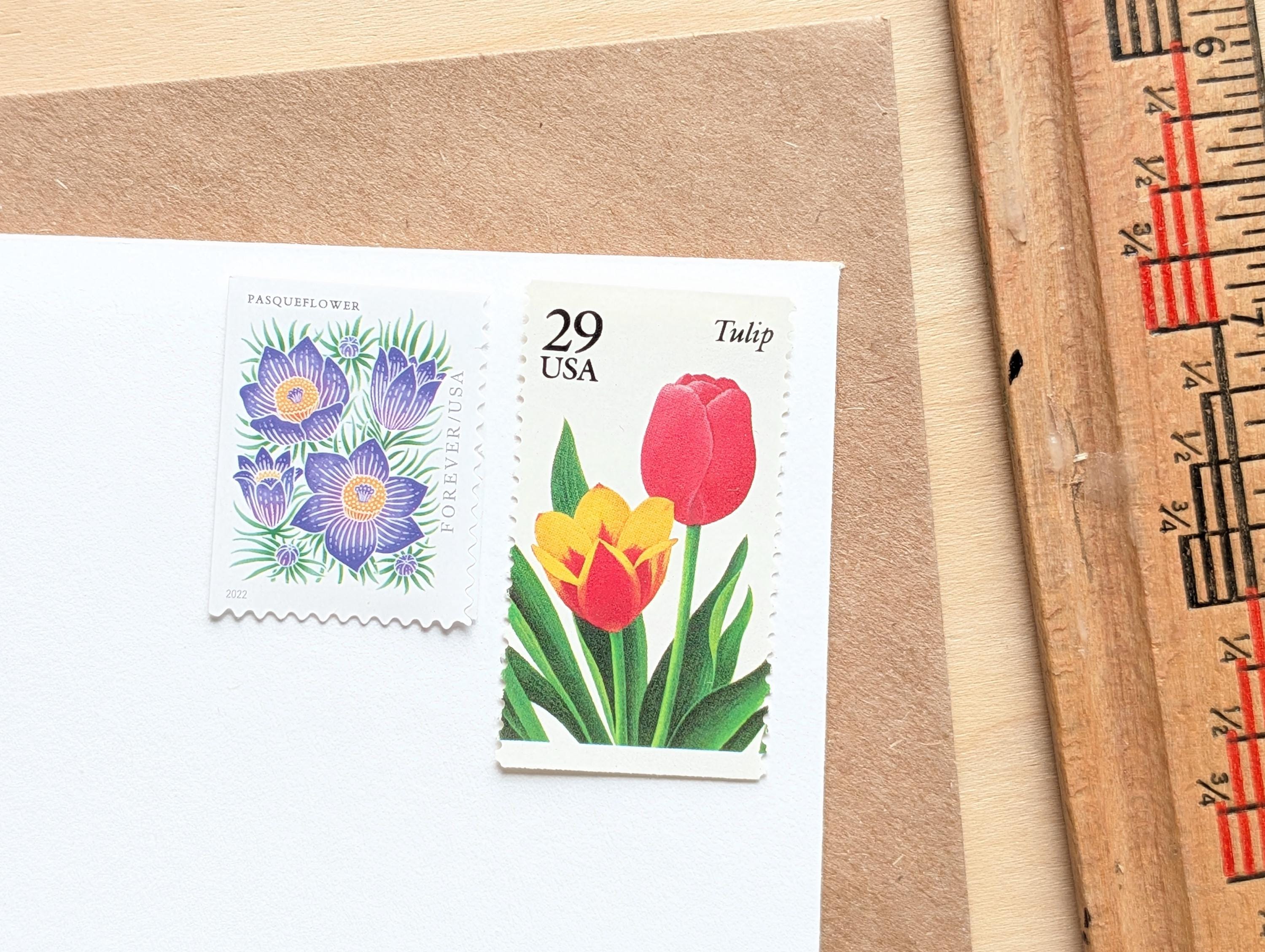 5 Tulip Stamps, Unused Postage Stamps, 29 Cent Stamps, Flower  display picture 1