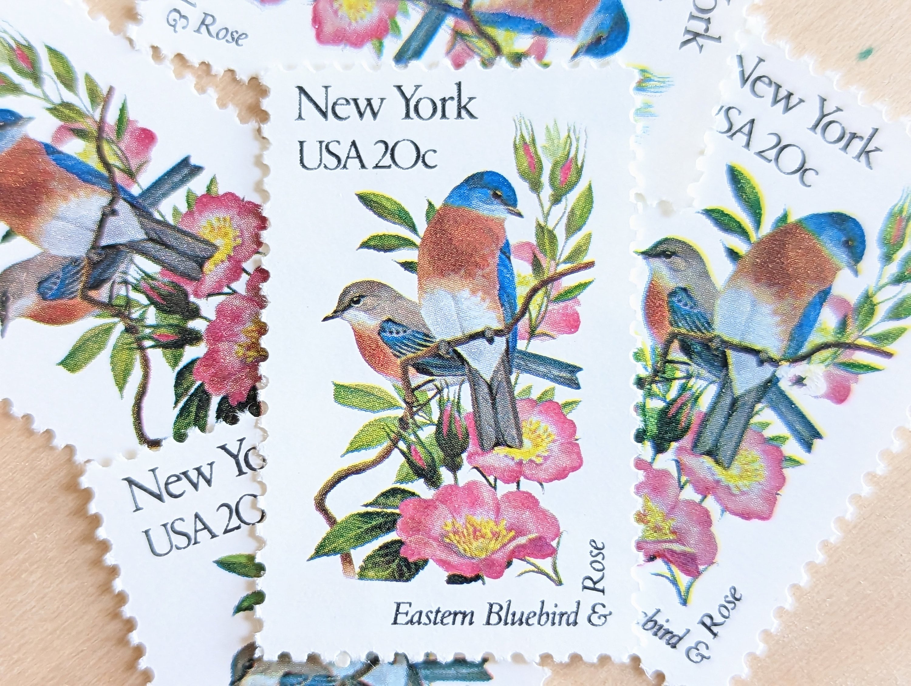 5 New York State Bird and Flower, 20 Cent, 1982, Unused