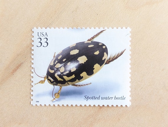 5 Spotted Water Beetle Stamps, Vintage Unused USPS 33 Cent Stamps