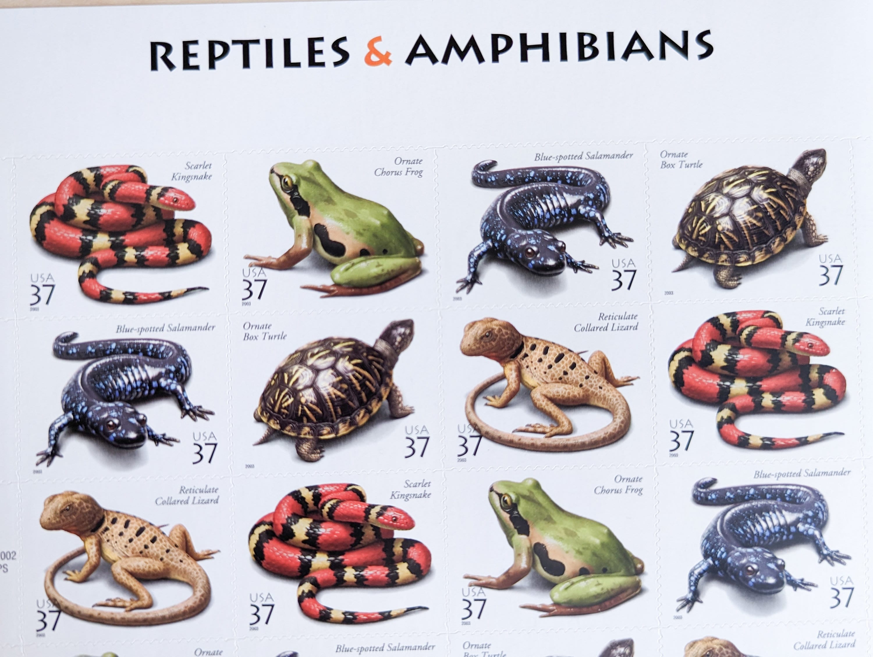 Mader´s Reptile and Amphibian Medicine And Surgery Third Edition