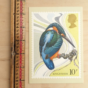 Cartão postal não utilizado de pássaros britânicos (Kingfisher), Michael Warren, House of Questa, Londres, Inglaterra