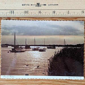 Cartolina postale inutilizzata del porto della California, Dexter Press