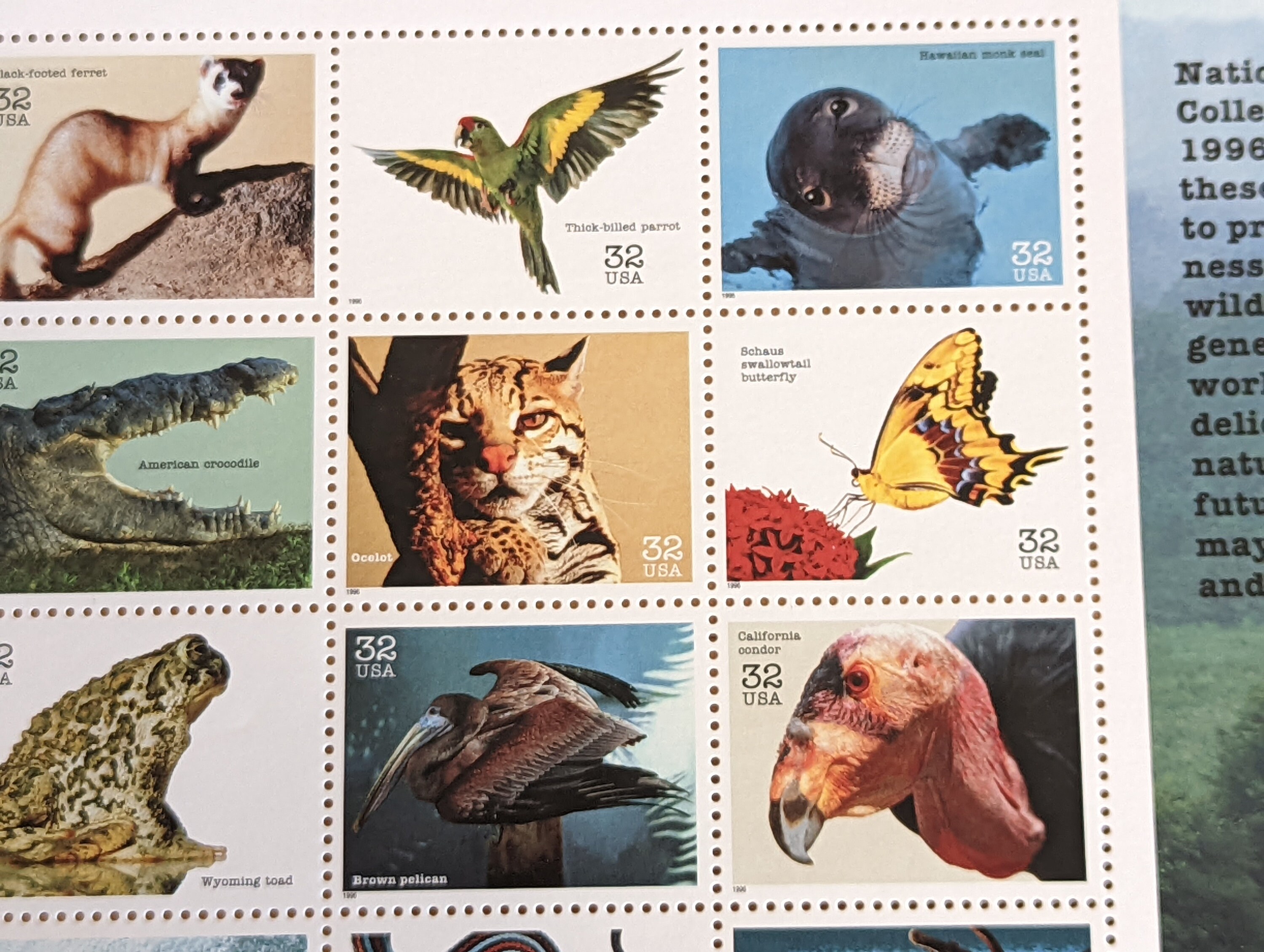 ANIMAL STAMPS – GrupoMexicanoMX