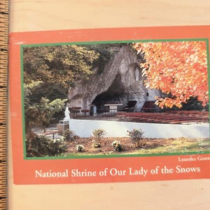 Carte postale inutilisée de la grotte de Lourdes Sanctuaire national Notre-Dame des Neiges