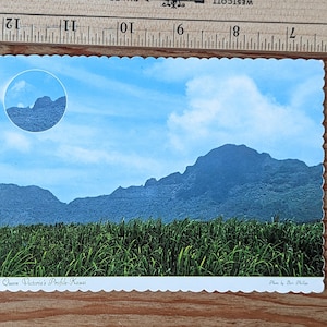Unused Queen Victoria&#39;s Profile Kauai Postcard, 1970 W.W. Distributions Ltd