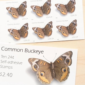 May include: Sheets of "Common Buckeye" stamps, each featuring a detailed illustration of a butterfly with brown and yellow wings. The text "USA 24" is printed on each stamp. A separate sheet displays the text "Ten 24¢ Self-adhesive Stamps $2.40".