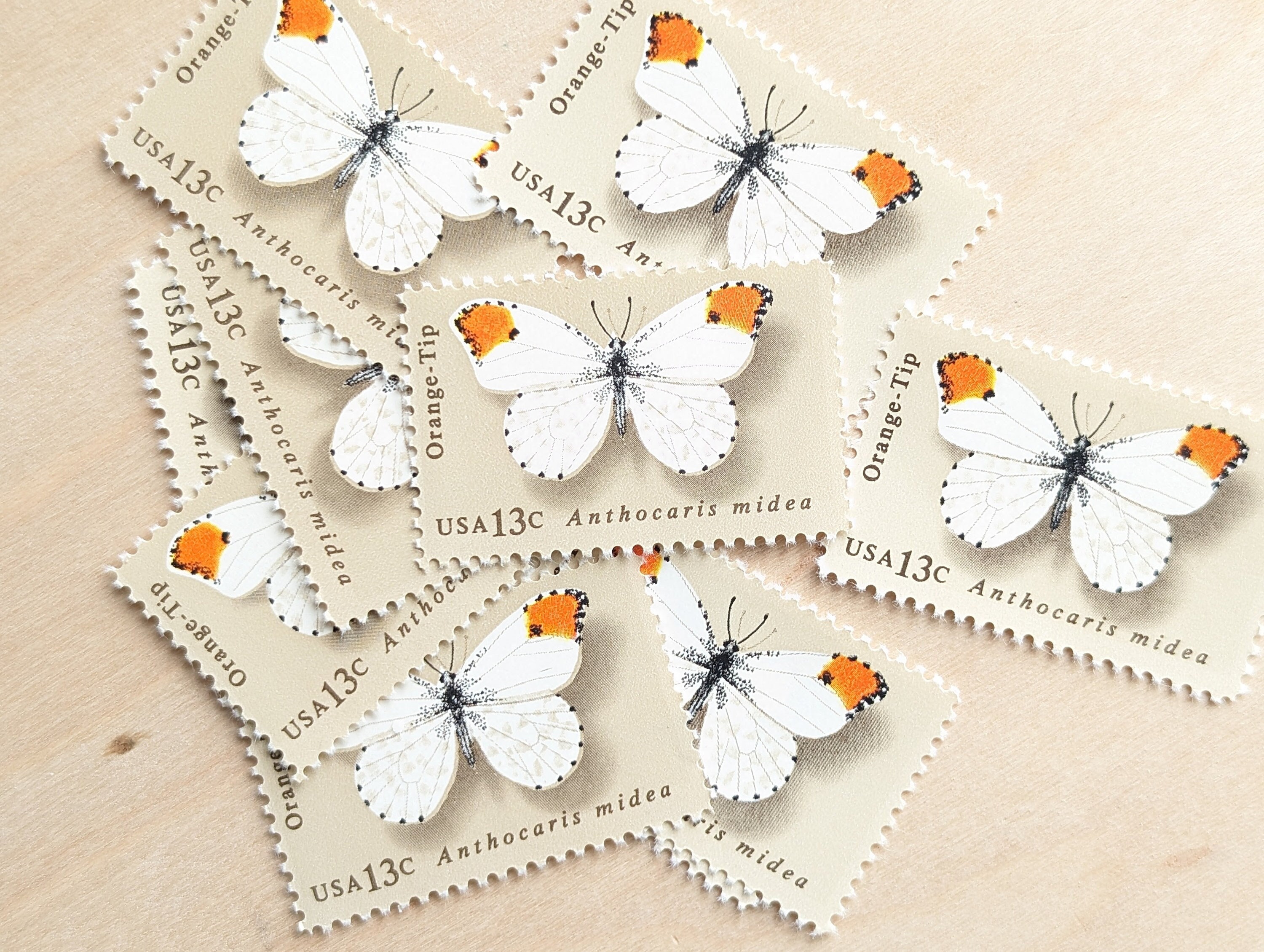 10 Orange-Tip Butterfly Stamps, 1977 Unused Postage Stamps, 13 Cent Stamps, Vintage Collectible Stamps