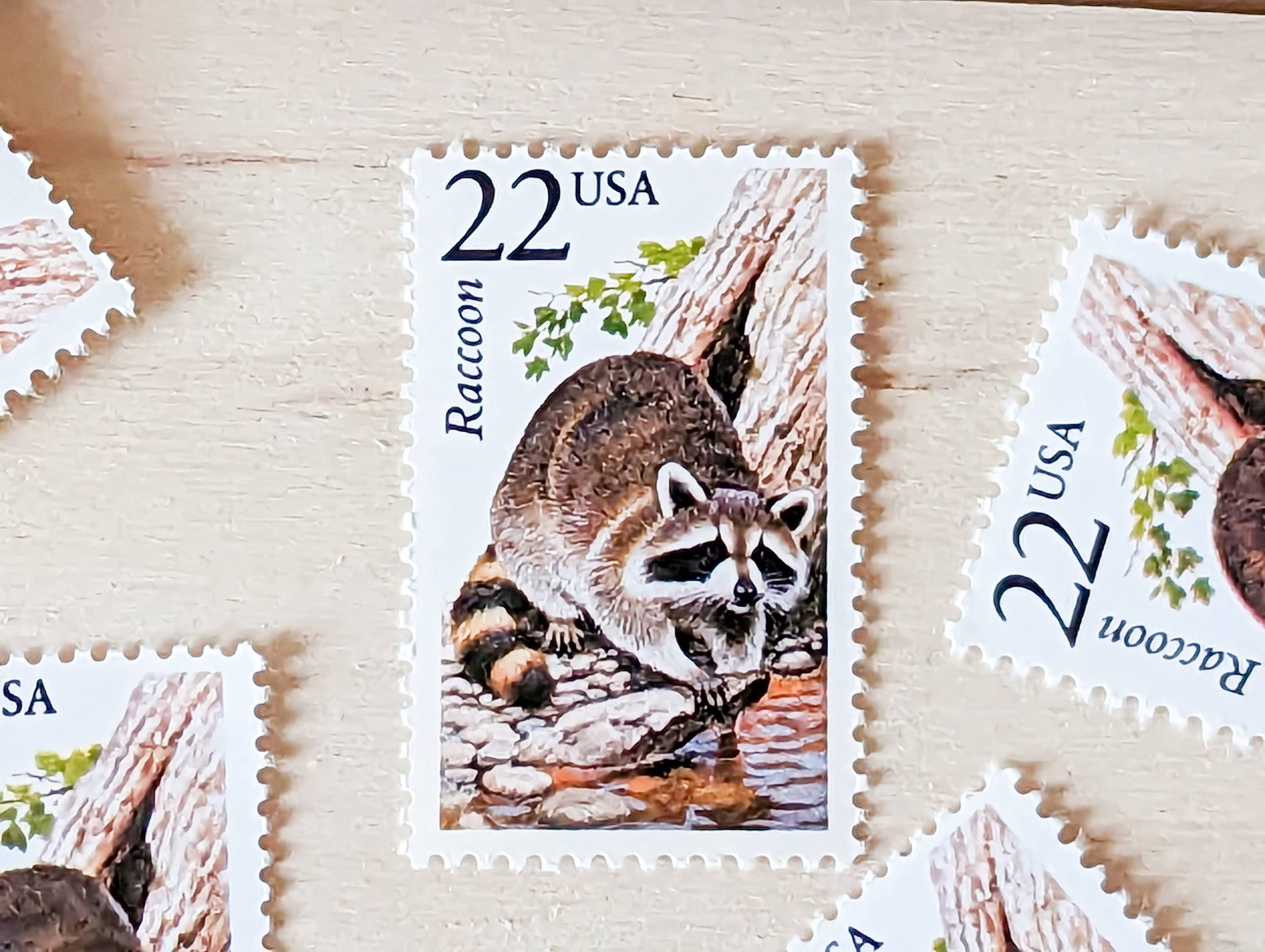 5 Raccoon Stamps, Vintage Unused USPS 22 Cent Postage Stamps