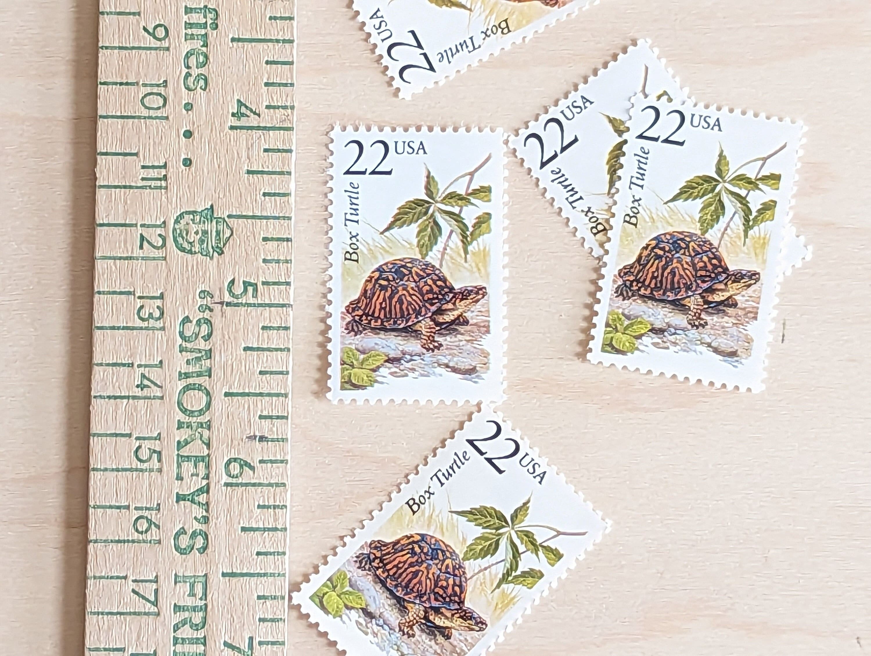 5 Box Turtle Stamps, Vitnage Unused USPS 22 Cent Postage Stamps