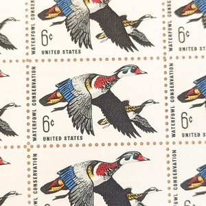 Sheet of 50 Waterfowl Conservation Stamps, 6 Cent, 50 Unused Stamps, 1968, Vintage Collectible Stamps