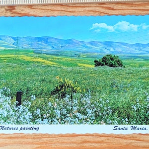 Carte postale inutilisée à la périphérie de Santa Maria, Californie, tableau natures