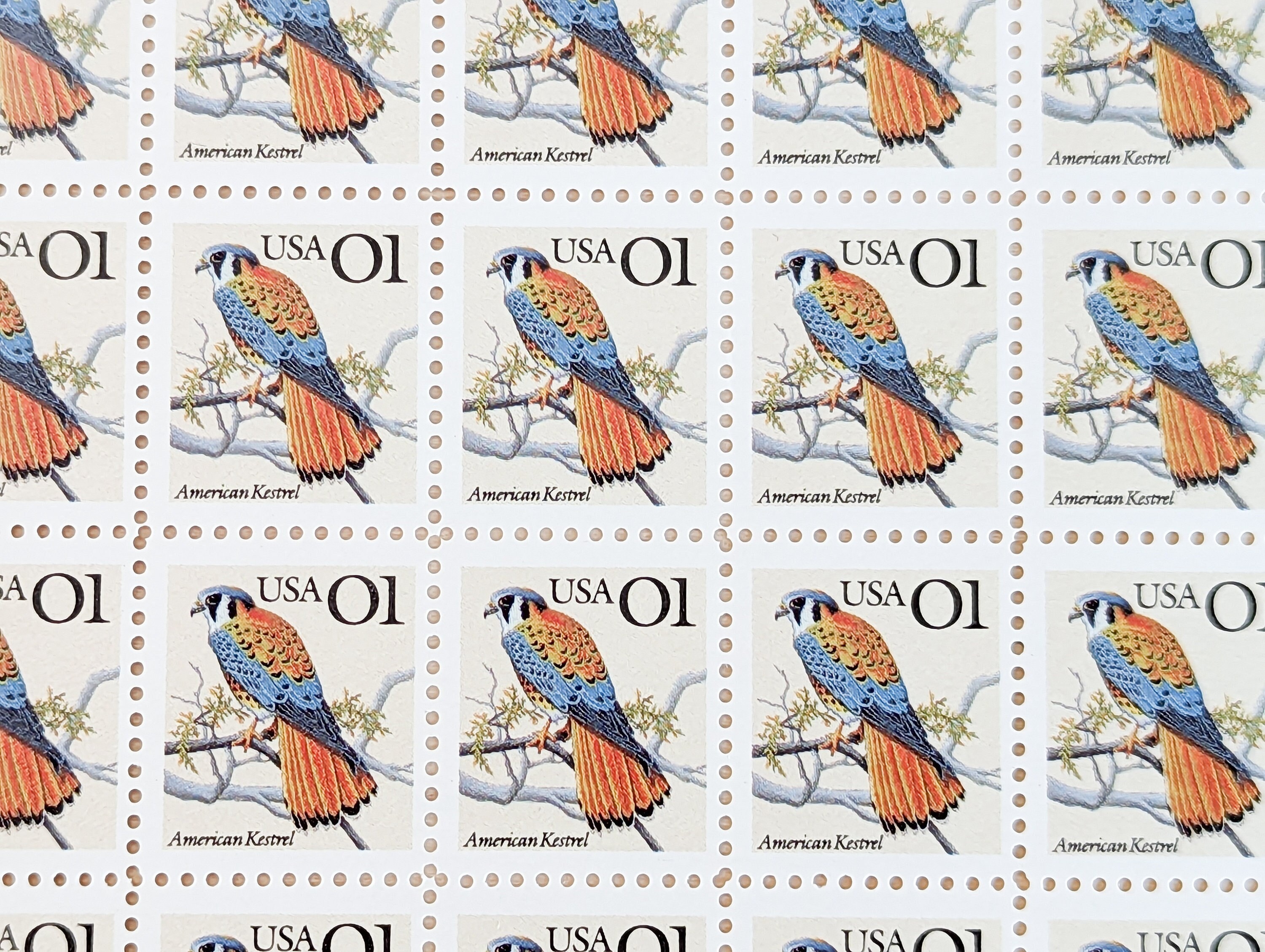 Bogen mit 100 American Kestrel Briefmarken, 1991 unbenutzte Briefmarken, 1 Cent Briefmarken