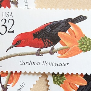5 selos Cardinal Honeyeater, selos postais não utilizados de 1998, selos de 32 centavos