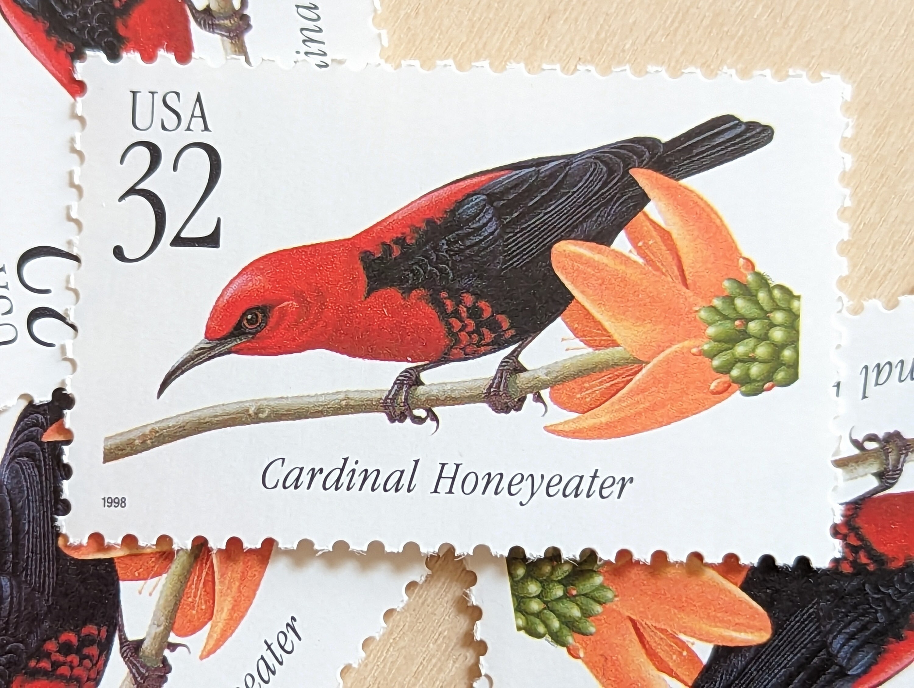 5 Cardinal Honeyeater Stamps, 1998 Unused Postage Stamps, 32 Cent Stamps, Vintage Collectible Stamps