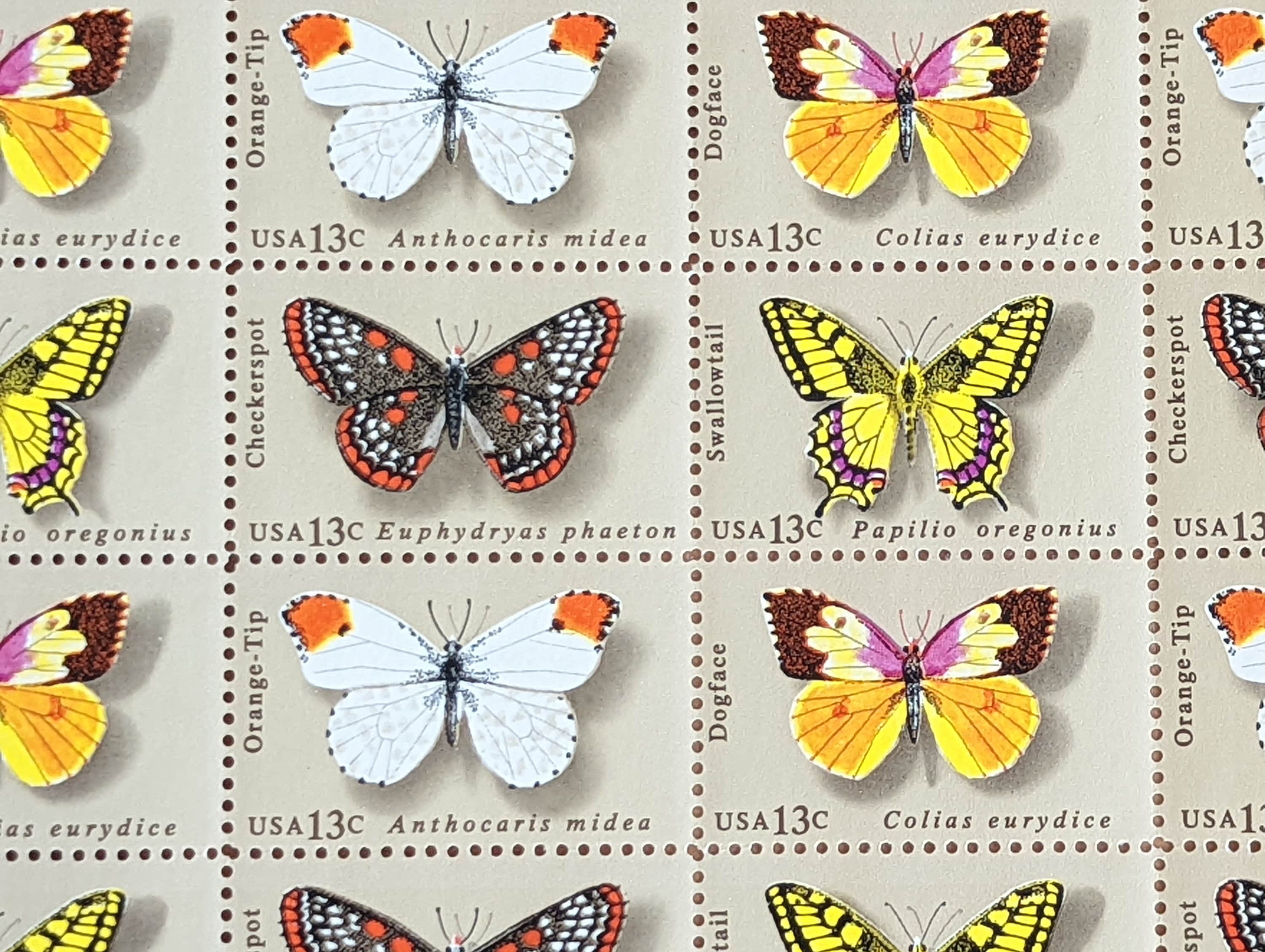 1714 - 1977 13c Butterflies: Dogface - Mystic Stamp Company
