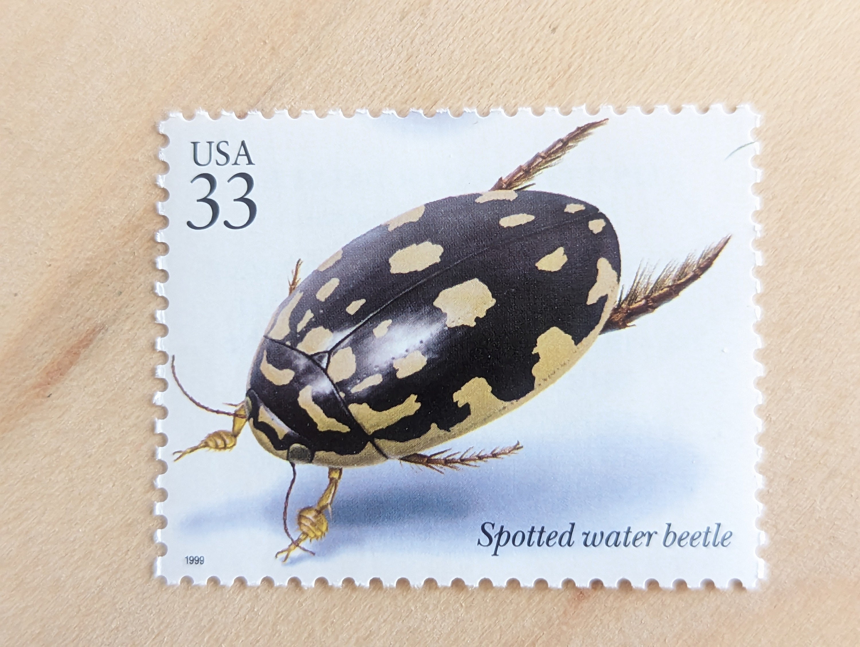 5 Spotted Water Beetle Stamps, Vintage Unused USPS 33 Cent Stamps
