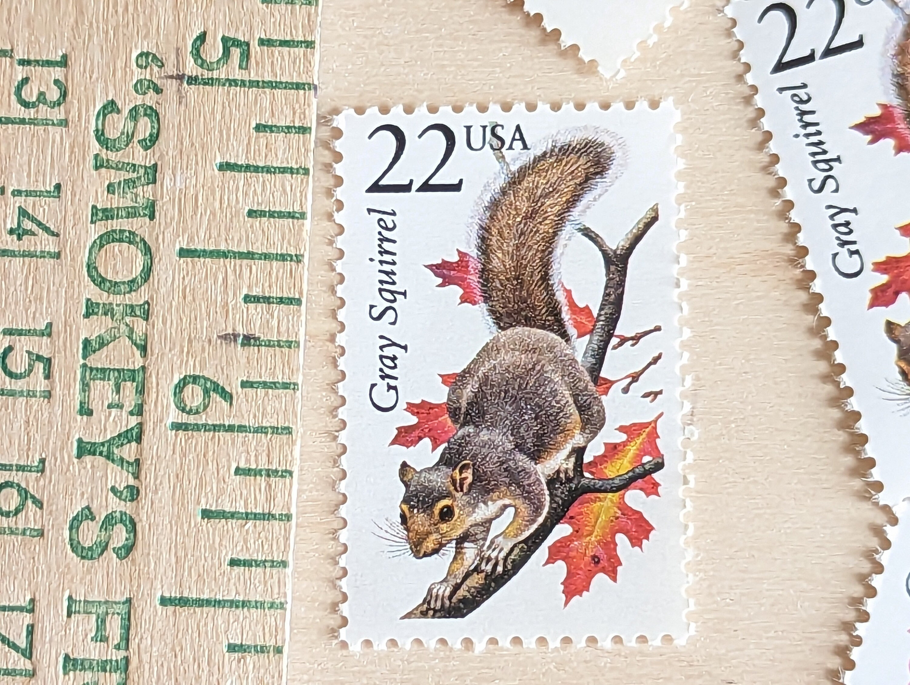 ハイイロリス切手5枚セット、未使用の米国郵政公社（USPS）22セント