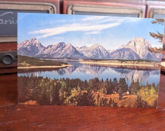 Unused Jackson Lake Scenic Trail Postcard, Grand Teton National Park, Wyoming