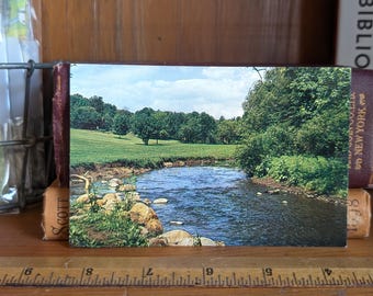 Carte postale The Brook inutilisée