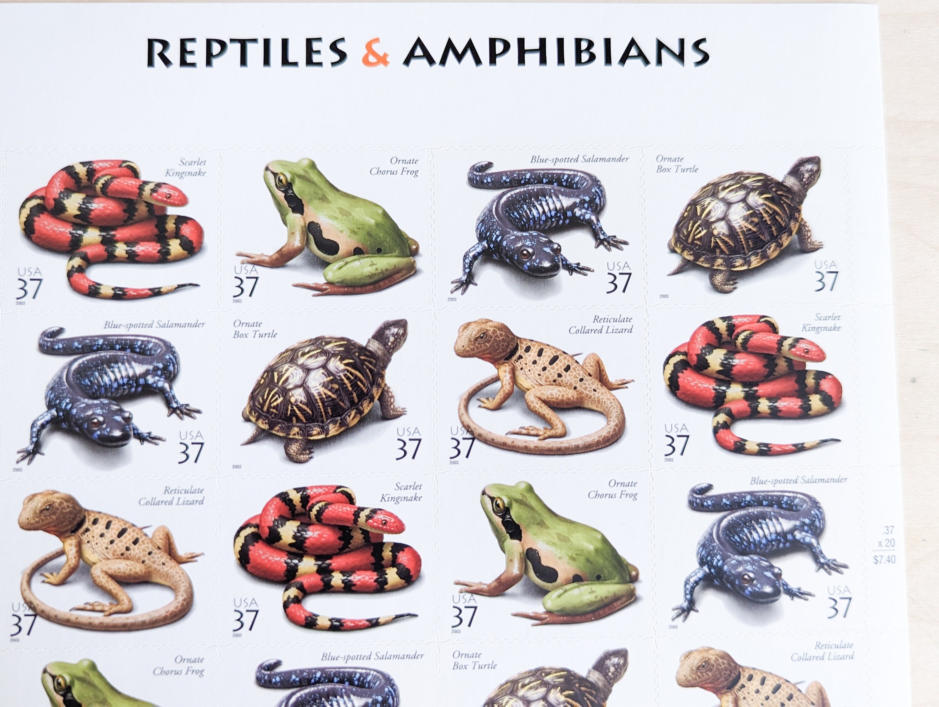 Mader's Reptile and Amphibian Medicine and Surgery - 3rd