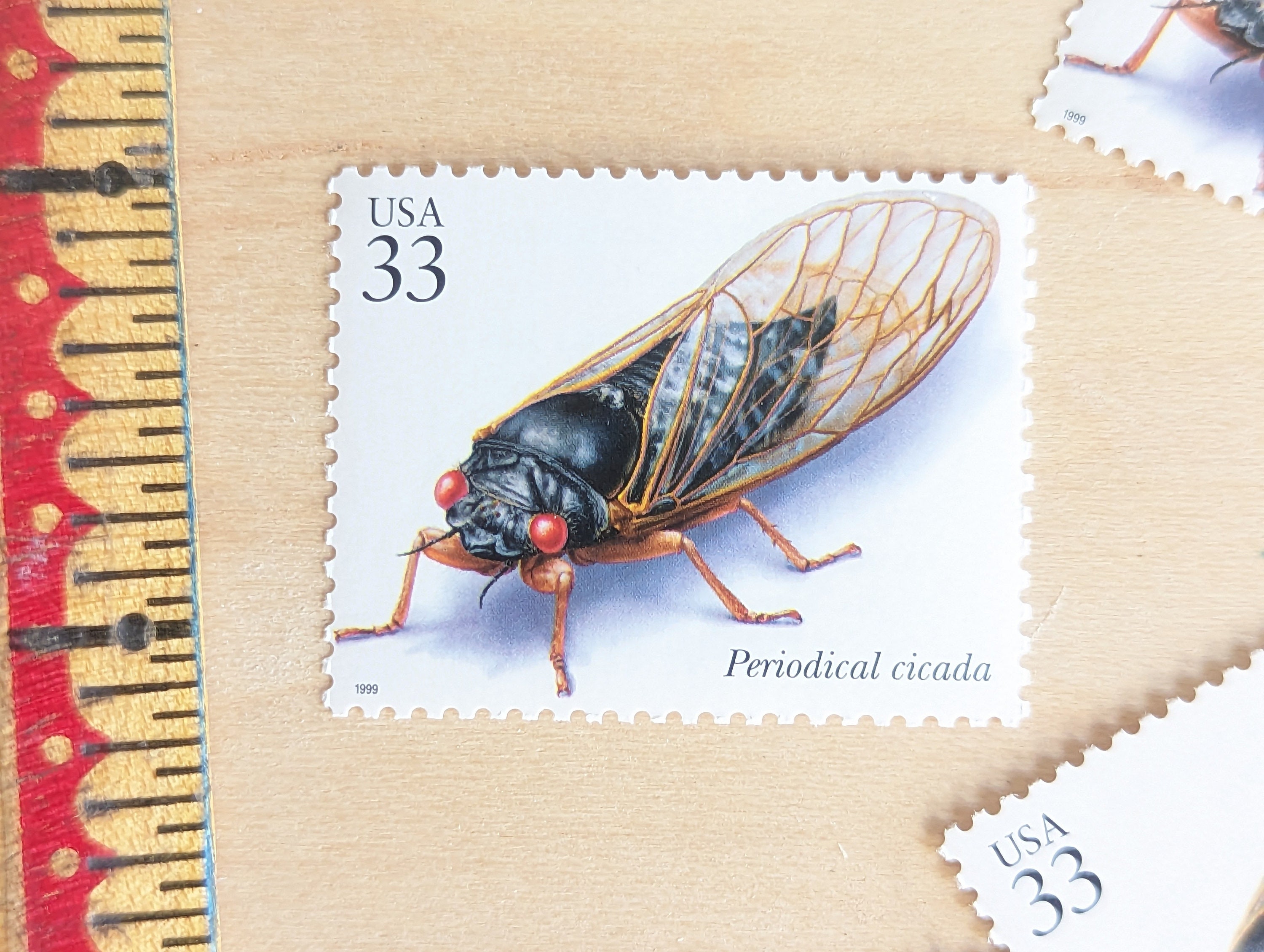 5枚の定期刊行物セミ切手、ヴィンテージ未使用USPS 33セント切手、昆虫