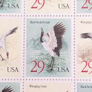 Sheet of 20 Crane Stamps, 29 Cent Unused US Stamps, 1994, Whooping Crane, Black-Necked Crane