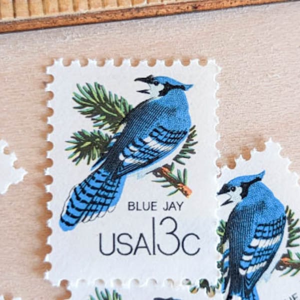 10 Blue Jay Stamps, 13 Cent 1978 Unused Postage Stamps
