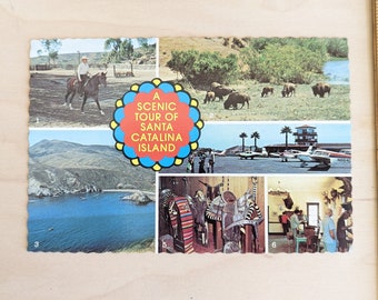 Unused Santa Catalina Island Postcard, 1940, The Continental Card