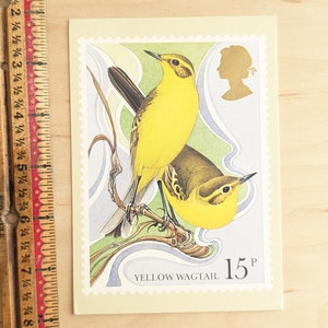 Cartão postal de pássaros britânicos não utilizados (alvéola amarela), The House of Questa, 1980 Stamp