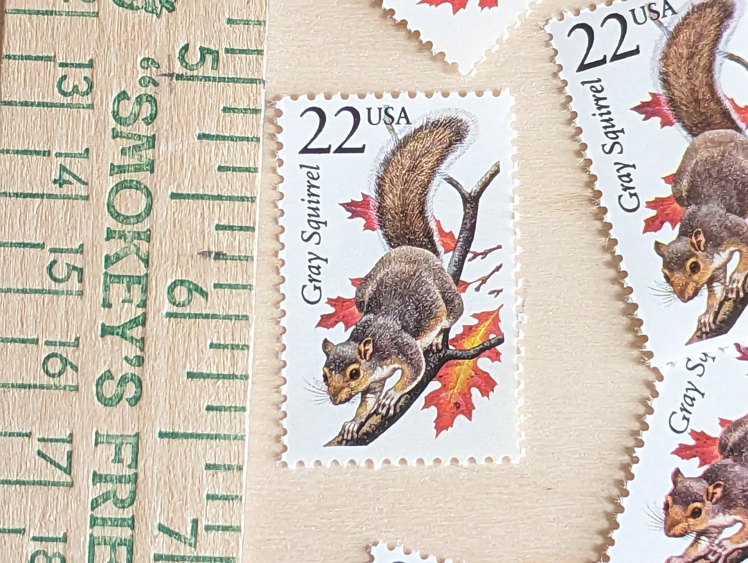 ハイイロリス切手5枚セット、未使用の米国郵政公社（USPS）22セント