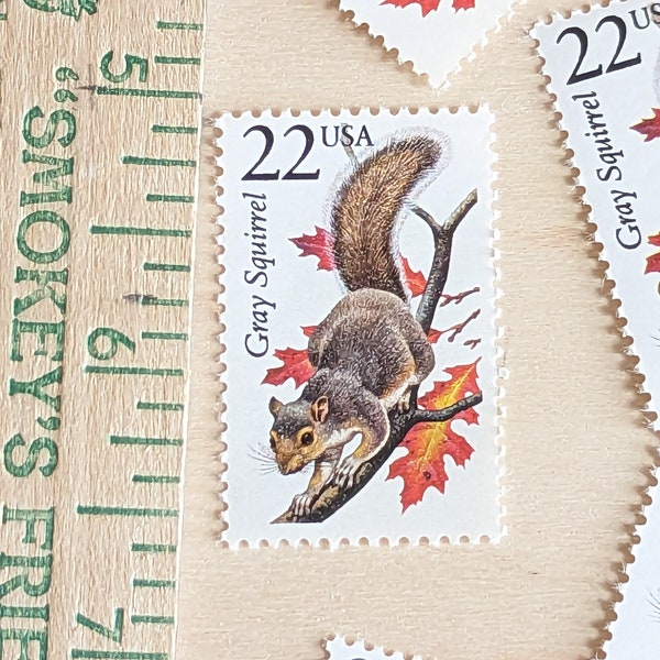 5 Gray Squirrel Stamps, 22 Cent, 1987, Unused Postage Stamps