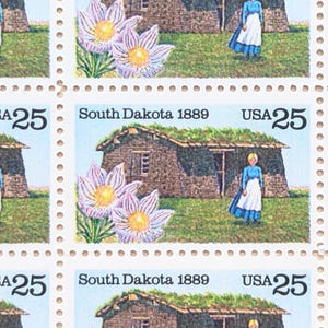 Folha com 50 selos estaduais da Dakota do Sul, selos postais antigos, sem uso, de 25 centavos, do USPS, selos estaduais de 1989, gomados