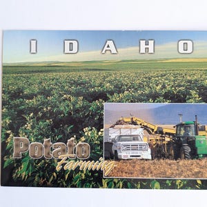 Cartolina inutilizzata sulla coltivazione di patate dello Stato dell'Idaho