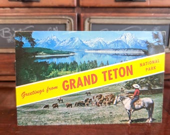 Unused Wyoming Wonderland Postcard, Grand Teton National Park, Wyoming
