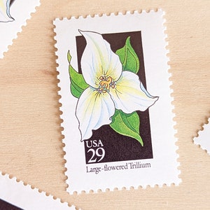 5 Large Flowered Trillium Wildflower 29 Cent Stamps, 1992, Vintage Collectible Stamps