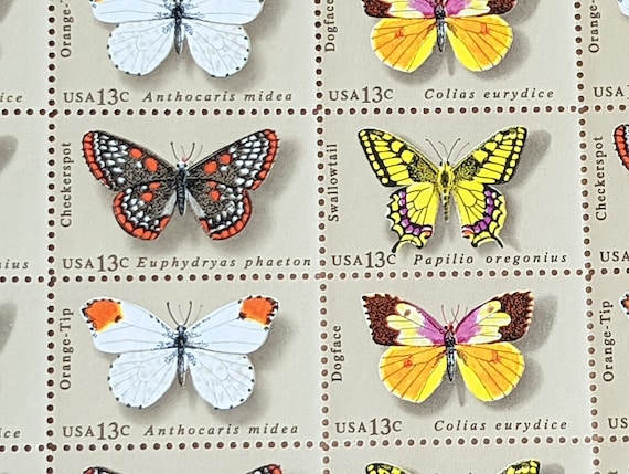 Butterfly Stamp Sheet, 50 Stamps, 13 Cent US Postage Stamps, 1977, Dogface,  Swallowtail, Orange-tip, Checkerspot 