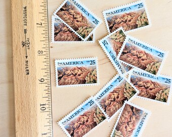 アメリカ・グランドキャニオン切手10枚、1989年未使用郵便切手、25