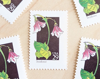 5 Twinflower Wildflower Stamps, Vintage Unused USPS 29 Cent Postage Stamps, 1992 Gummed