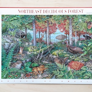 Northeast Laubwald Unbenutzter Briefmarken Bogen, 2004, Zehn 37 Cent Briefmarken, Siebte der Serie