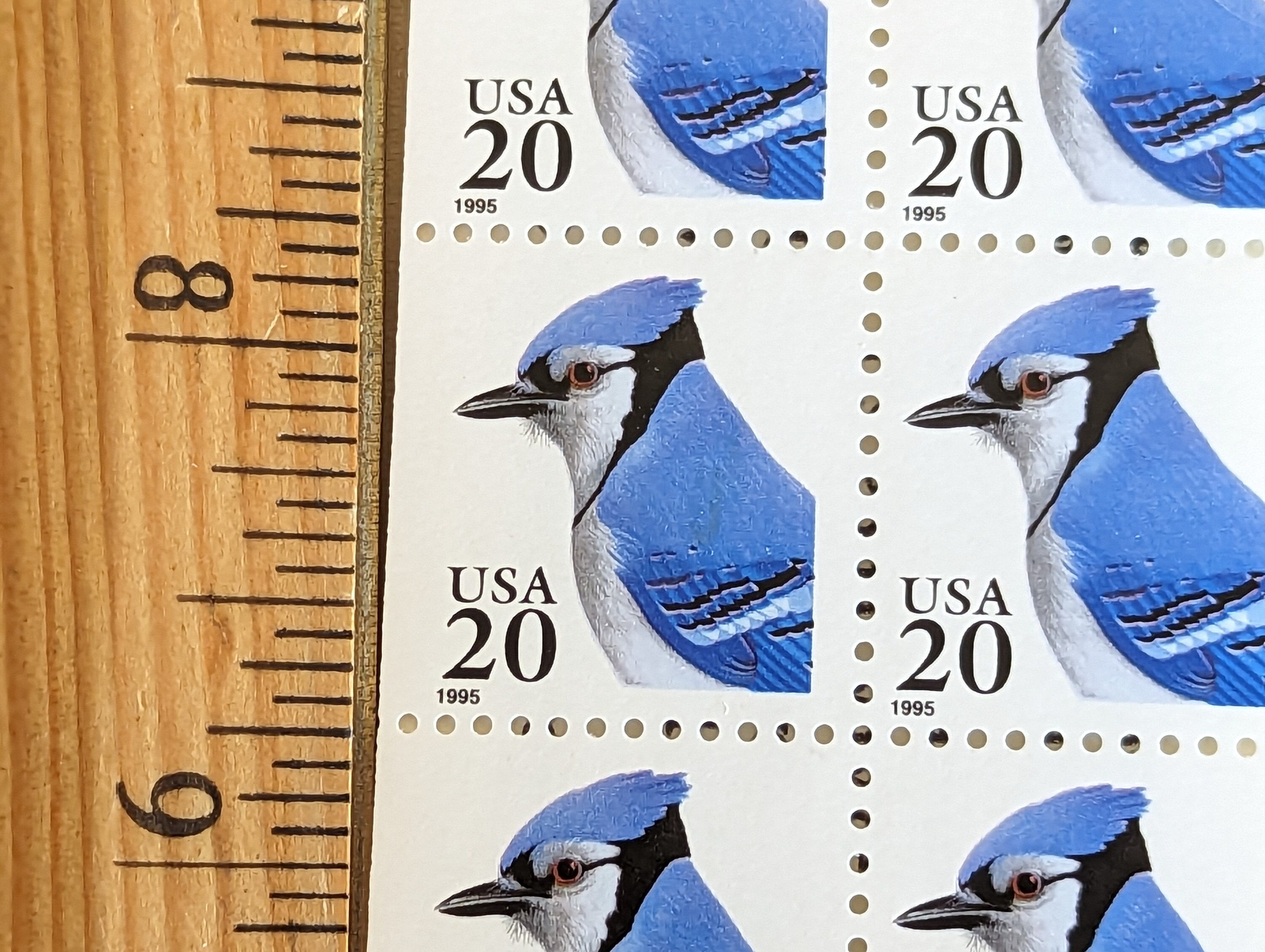 Five 22c Blue Jay Stamp Unused US Postage Stamps Pack of 5 Stamps