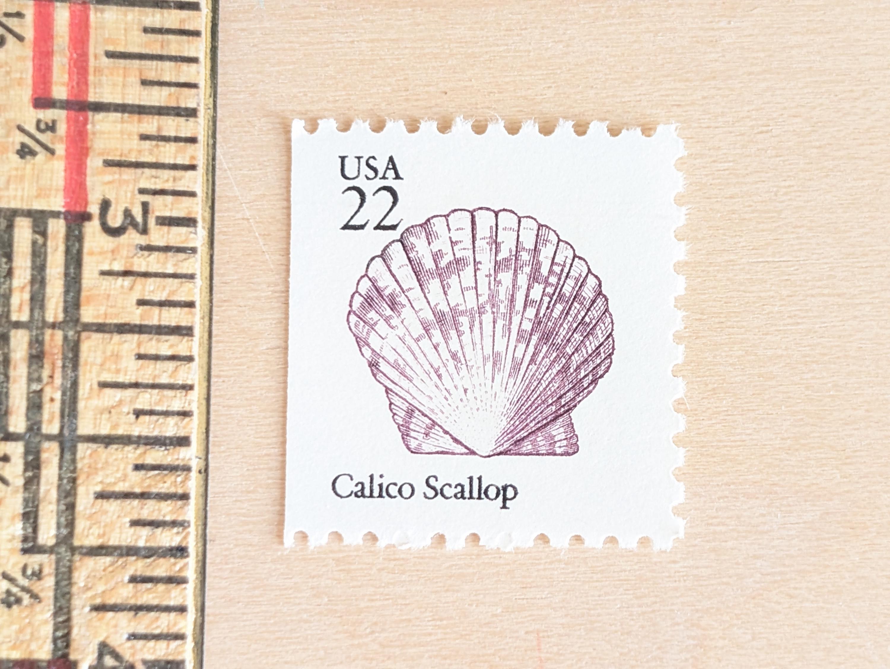 カリコホタテ貝殻切手5枚、ヴィンテージ未使用USPS 22セント切手、1985